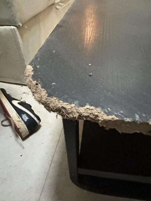 龙珠体育直播-女租户失联，房屋散发恶臭被严重损坏，昆明房东报警：损失预估2万以上，她曾自称刚毕业，手头紧；物业：屋内狗彻夜狂叫，邻居曾报警